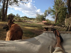 ...and I smoke it - I mean lay on it. Organic hemp hammock - thanks Pam and Ben!