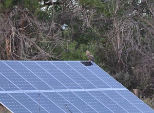 Our solar arrays offset 15 tons of carbon per year!