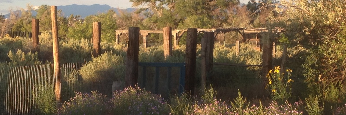 The ranch in bloom